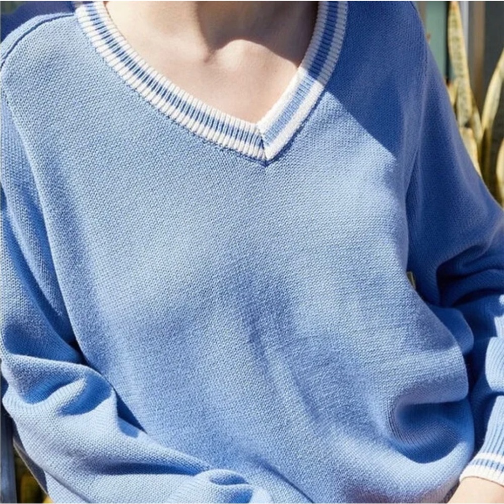 Brandy Melville Baby Blue V-Neck Sweater